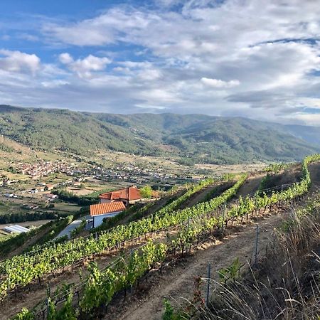 Quinta Da Penada - Vineyard & Winery - Suite 3 تشافيس المظهر الخارجي الصورة