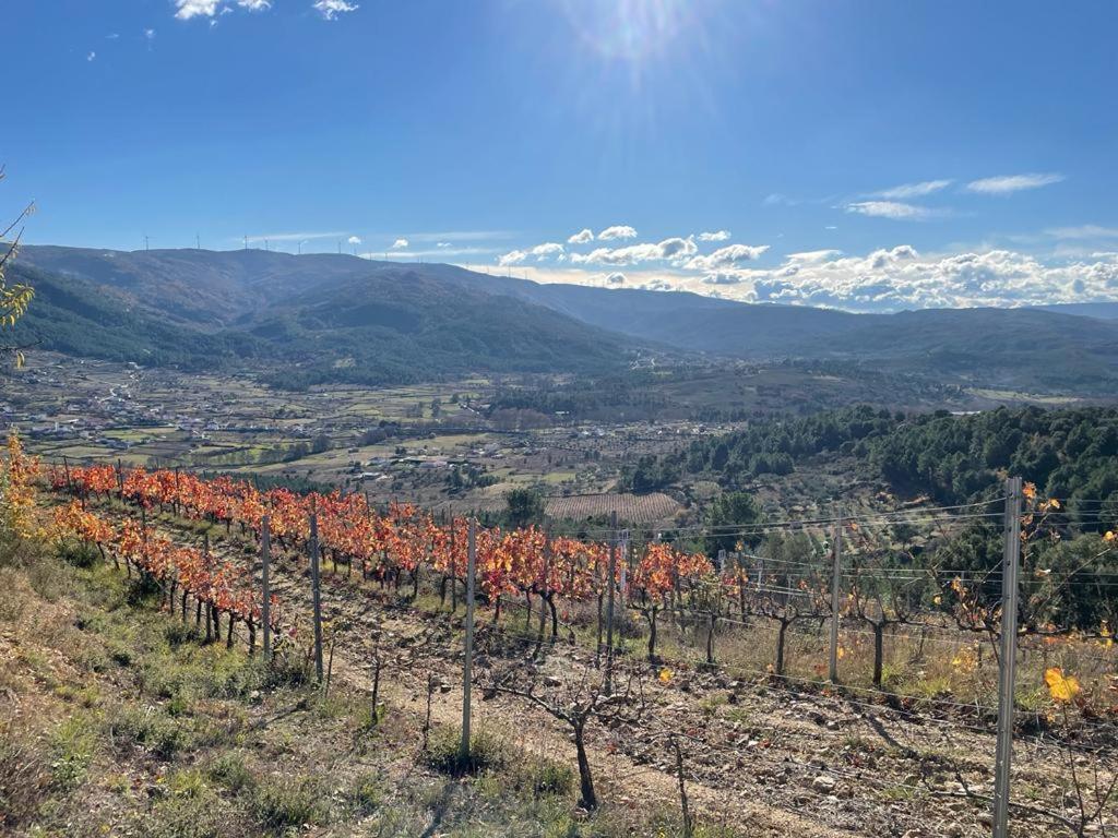 Quinta Da Penada - Vineyard & Winery - Suite 3 تشافيس المظهر الخارجي الصورة
