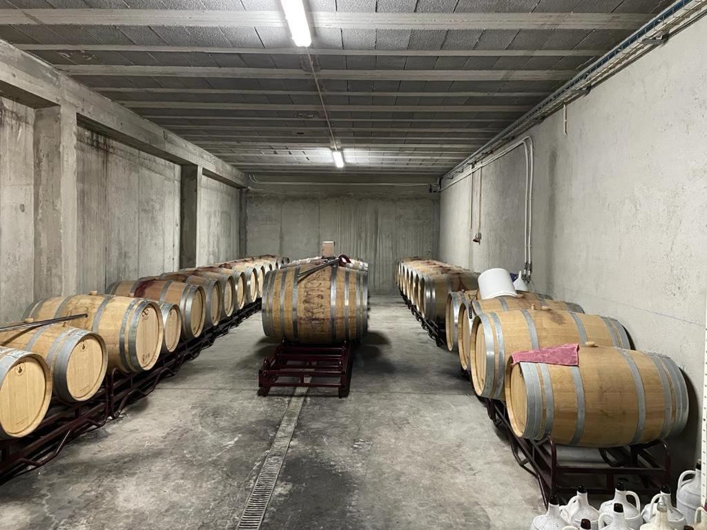 Quinta Da Penada - Vineyard & Winery - Suite 3 تشافيس المظهر الخارجي الصورة