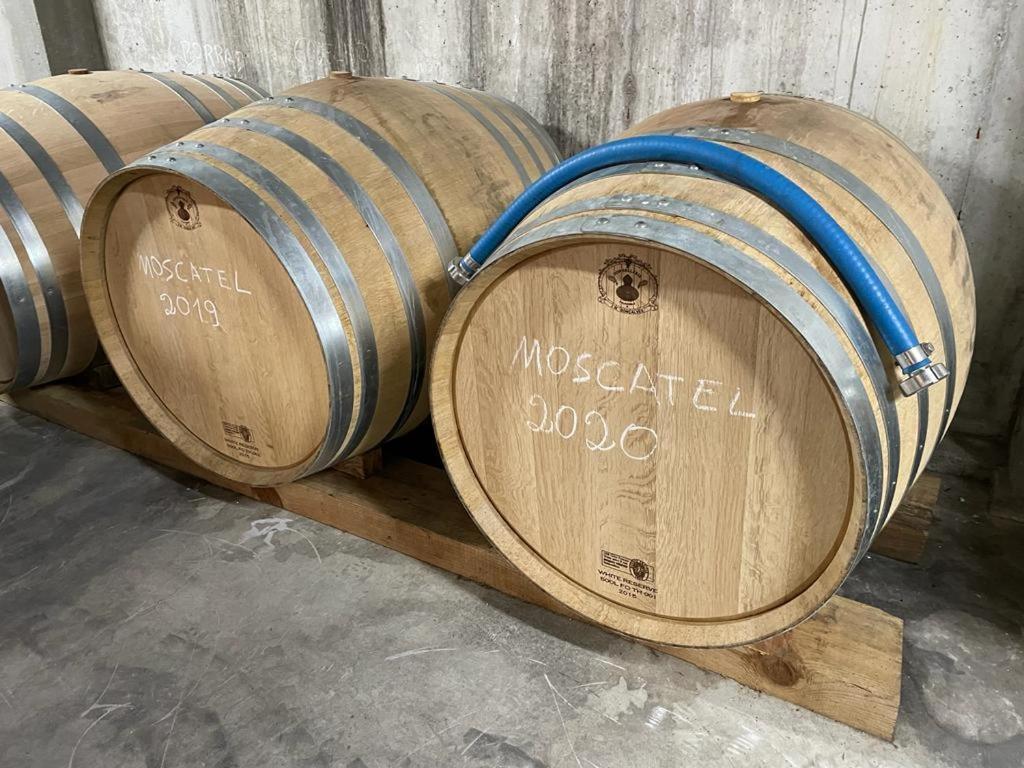 Quinta Da Penada - Vineyard & Winery - Suite 3 تشافيس المظهر الخارجي الصورة
