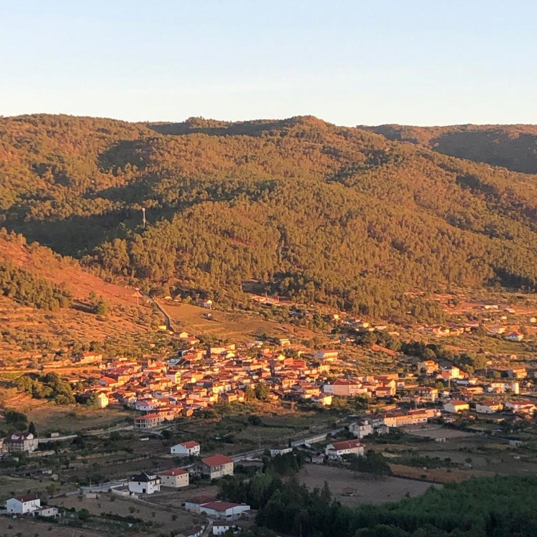 Quinta Da Penada - Vineyard & Winery - Suite 3 تشافيس المظهر الخارجي الصورة