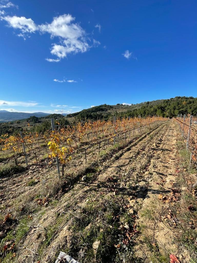 Quinta Da Penada - Vineyard & Winery - Suite 3 تشافيس المظهر الخارجي الصورة