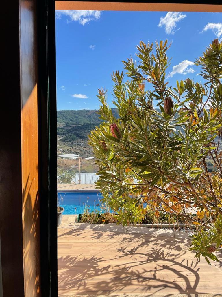 Quinta Da Penada - Vineyard & Winery - Suite 3 تشافيس المظهر الخارجي الصورة