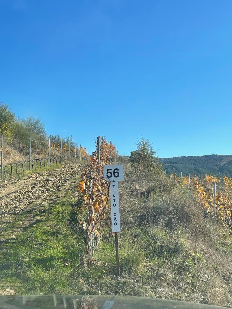 Quinta Da Penada - Vineyard & Winery - Suite 3 تشافيس المظهر الخارجي الصورة