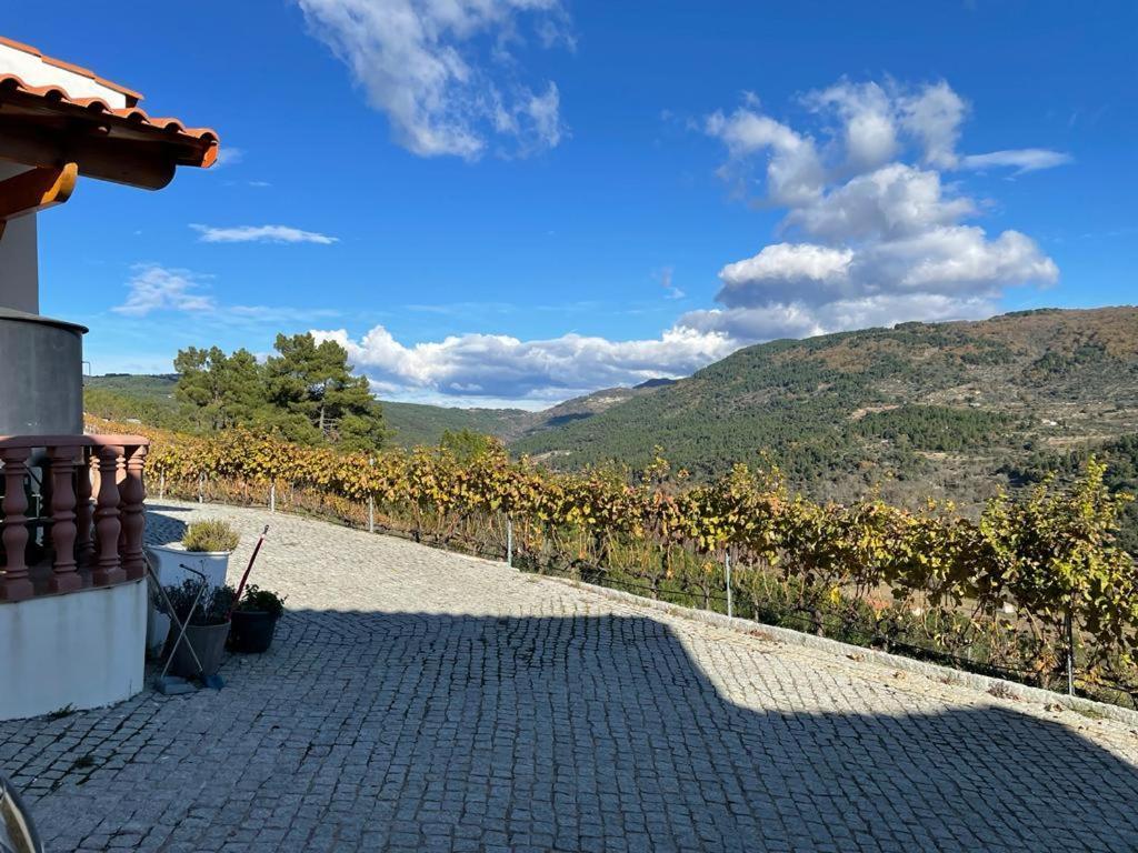 Quinta Da Penada - Vineyard & Winery - Suite 3 تشافيس المظهر الخارجي الصورة