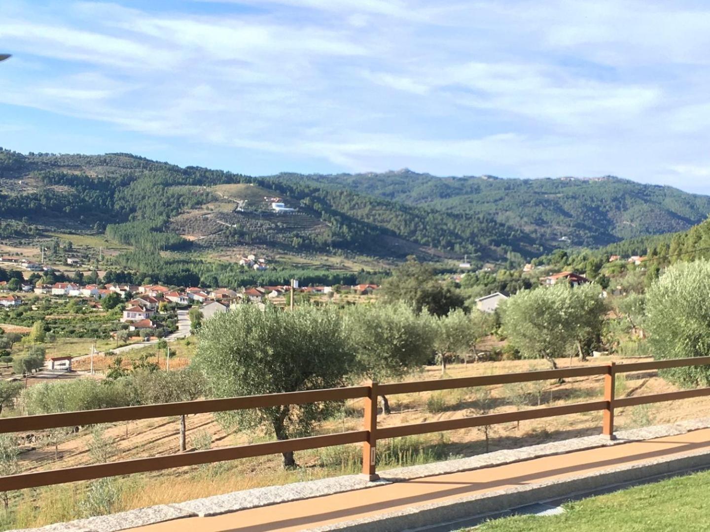 Quinta Da Penada - Vineyard & Winery - Suite 3 تشافيس المظهر الخارجي الصورة