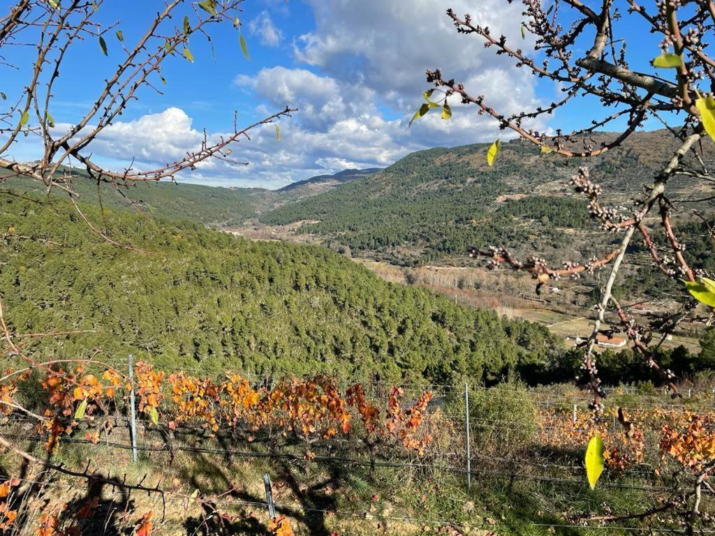 Quinta Da Penada - Vineyard & Winery - Suite 3 تشافيس المظهر الخارجي الصورة